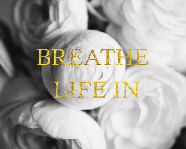 Breathe Life In- InspirationalBlack White Flower Photo