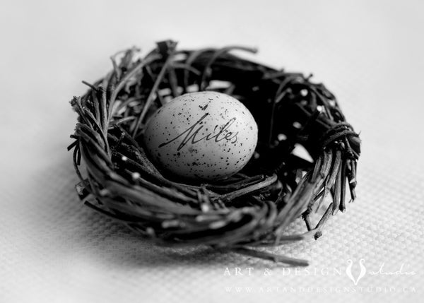 Baby Art Personalized Nest with Name Print personalized art print wall d_cor inspiredartprints inspired art prints custom photo gifts